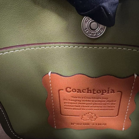 Coach Ergo bag In Coachtopia Leather With Butterfly Print Rainbow CQ828 NWT - Picture 9 of 10